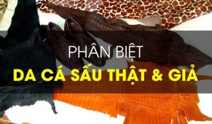 8 Cach Phan Biet Va Nhan Biet Da Ca Sau That Gia 3