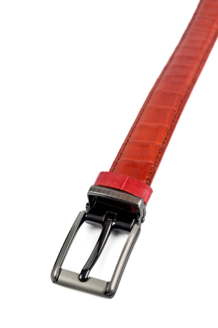 NI.800 Buckle Women’s Belt - Ảnh 3