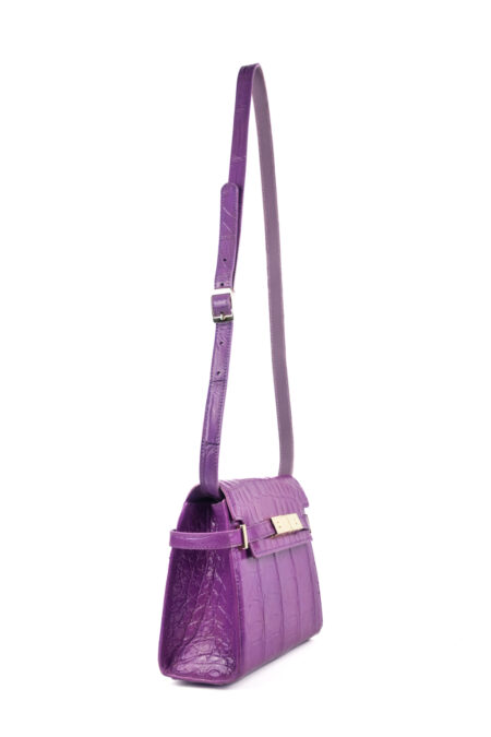 Crocodile leather handbag T214TRON.2 Alani bag - Image 4