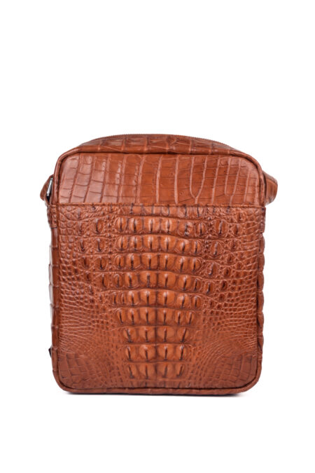 Túi xách da cá sấu T218 Hudson Crossbody Bag - Ảnh 2